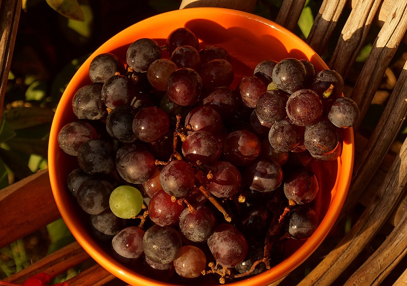 raisins triés