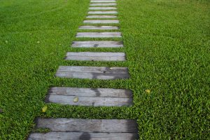 How to make garden paths in the country with your own hands? (80+ Photo options for great ideas) + Reviews