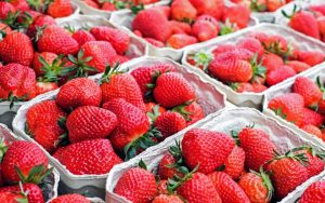 Strawberries - description of 33 best varieties: early, mid-season, late and remontant varieties