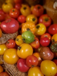 Tomatoes: characteristics and description of the 25 best varieties with reviews from gardeners