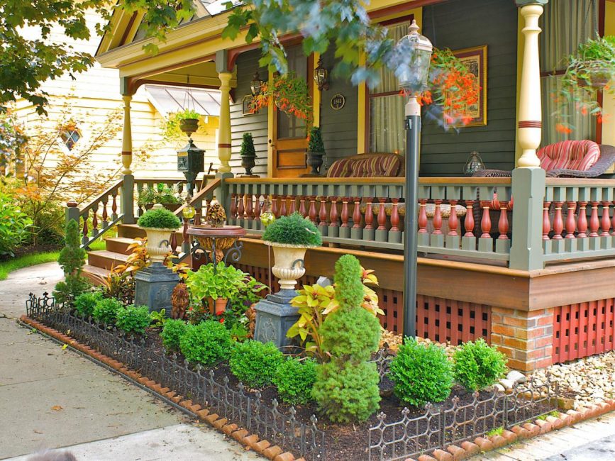 Beautifully look flower beds with plants of the same color, but different shades.