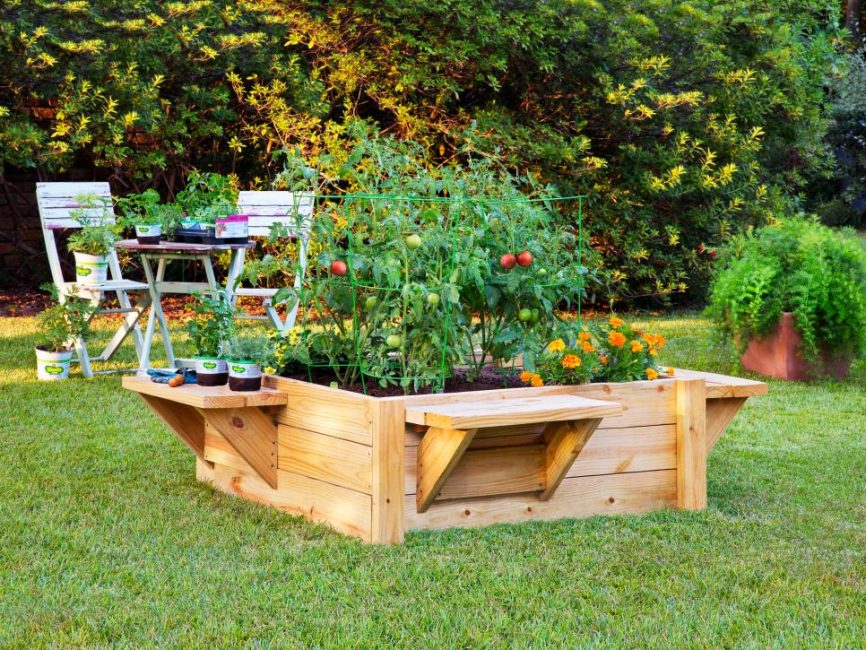 vegetable bed