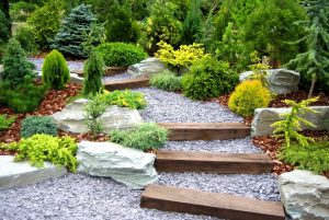 Landscaping your site with your own hands - (130+ Photo Ideas & Videos) + Reviews