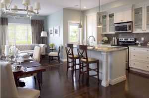 Design of a kitchen combined with a living room