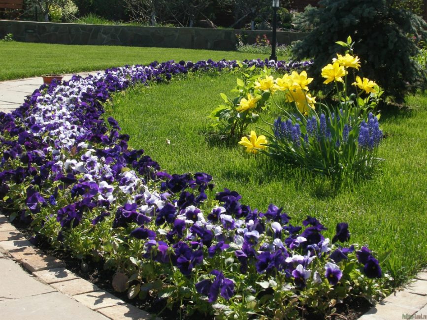 flowerbed rabatka