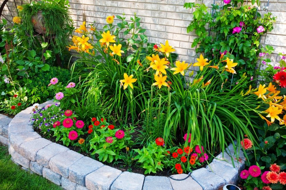 parterre de fleurs