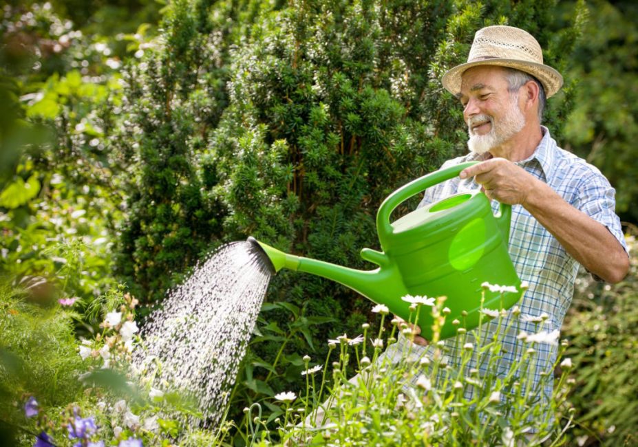 Homme arrosant des plantes dans le jardin