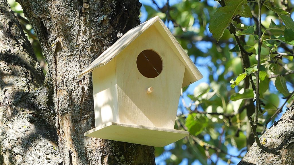 Comment fabriquer une mangeoire à oiseaux de vos propres mains? 19 idées originales (180 Photos & Vidéos) + Avis