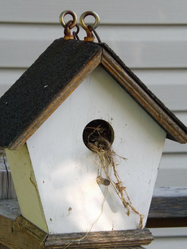 Comment fabriquer une mangeoire à oiseaux de vos propres mains? 19 idées originales (180 Photos & Vidéos) + Avis