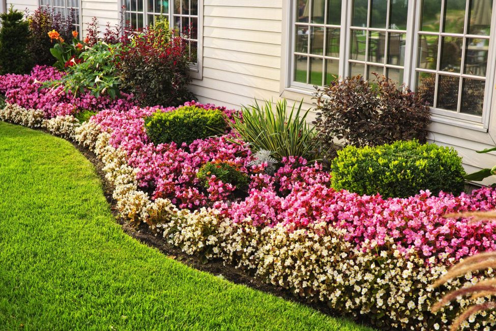 Colorful flower bed near the house