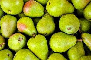 Pear: description of the 24 best varieties with their photos and reviews of gardeners