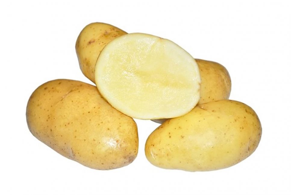 pommes de terre coleta