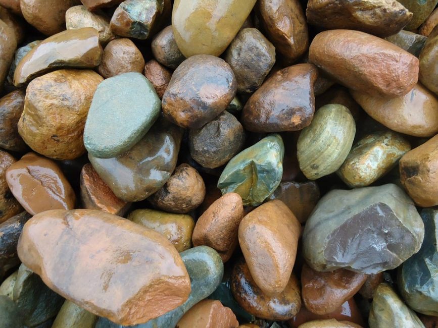 Use pebbles to fill in empty spaces between plants