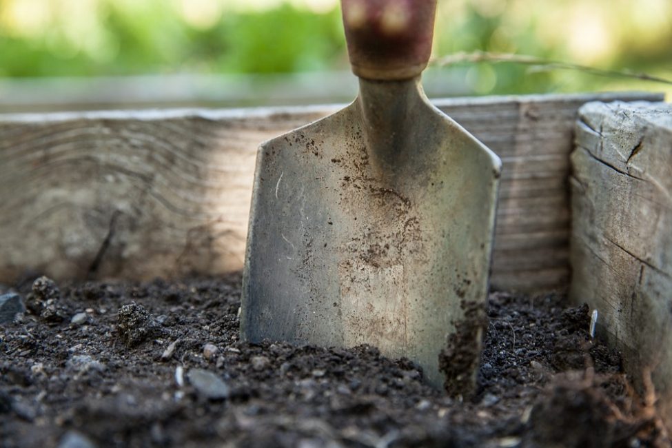 It is advisable to prepare the soil 3 - 5 weeks before planting flowers in the flower bed