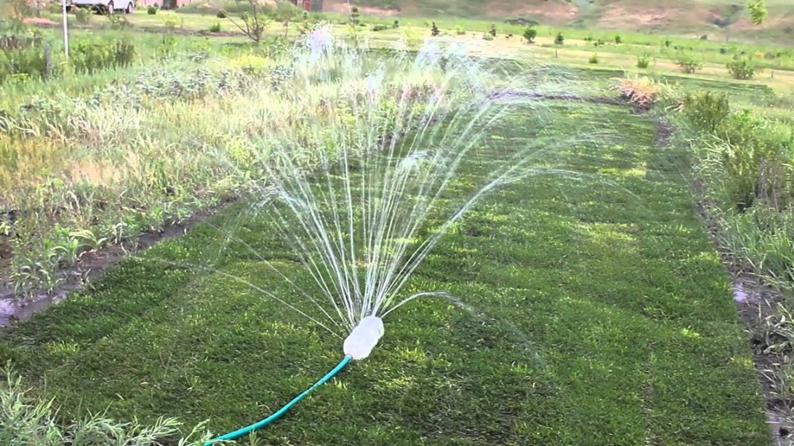 plastic bottle sprinkler