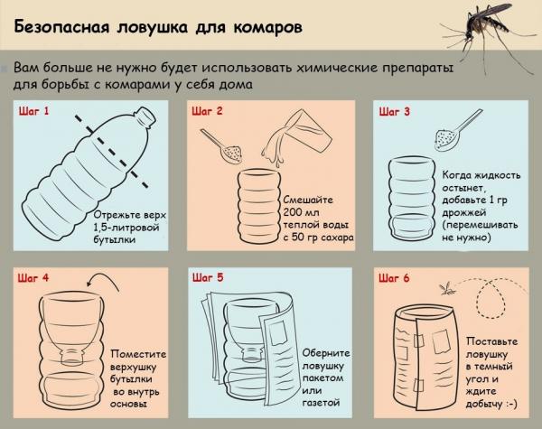 How to make a mosquito trap out of a plastic bottle