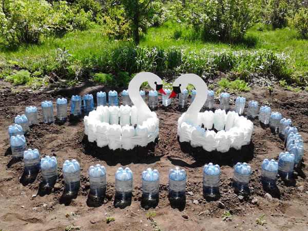 Swans in the garden from plastic bottles