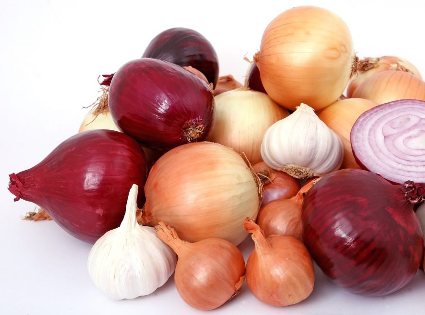 Onion varieties grown in the southern and northern regions