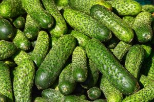 Cucumbers: description of 29 varieties, main characteristics and gardener reviews about them