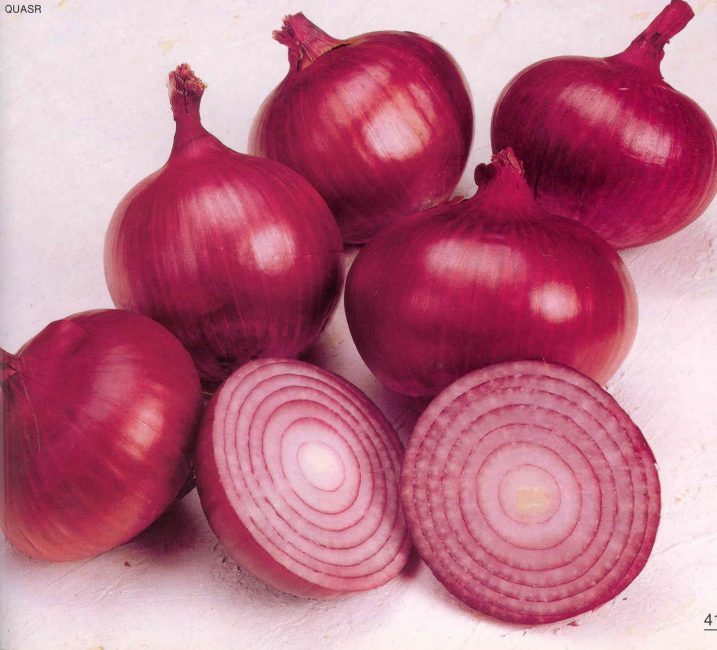 Red Semko F1 onion variety