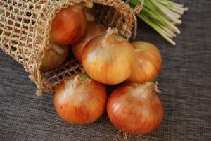 Onions - a description of 33 varieties with their photos and main characteristics, ripening dates and other useful information (Video) + Reviews