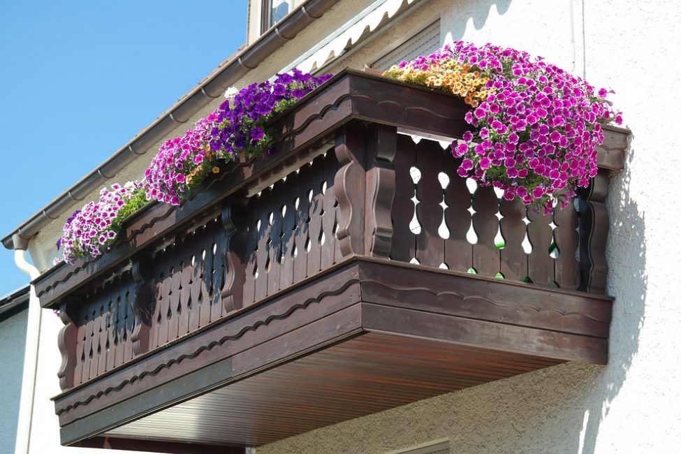 Décoration de balcon avec différentes variétés de pétunias.