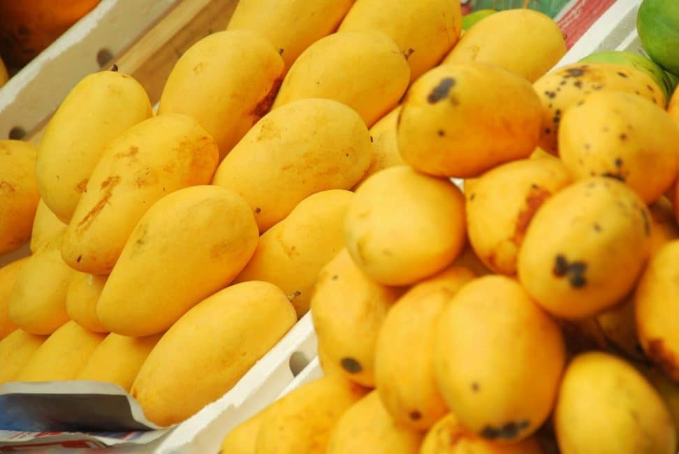 Fruits mûrs de mangue