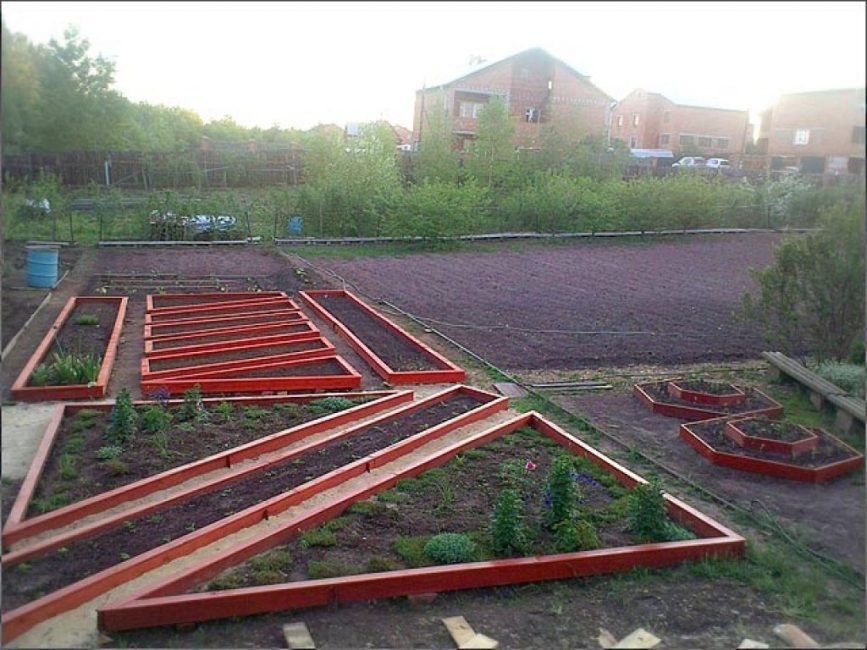 Planting plants in boxes