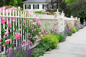 How to make a beautiful and inexpensive fence in the country with your own hands: from wood, metal and polycarbonate