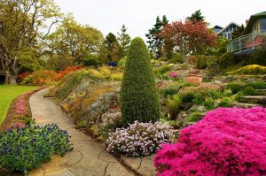 Catalog of 23 plants for an alpine slide: a piece of Switzerland in the garden (80+ Photos & Video)