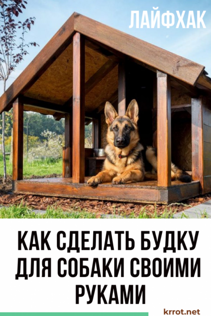 Kendin yap köpek evi nasıl yapılır