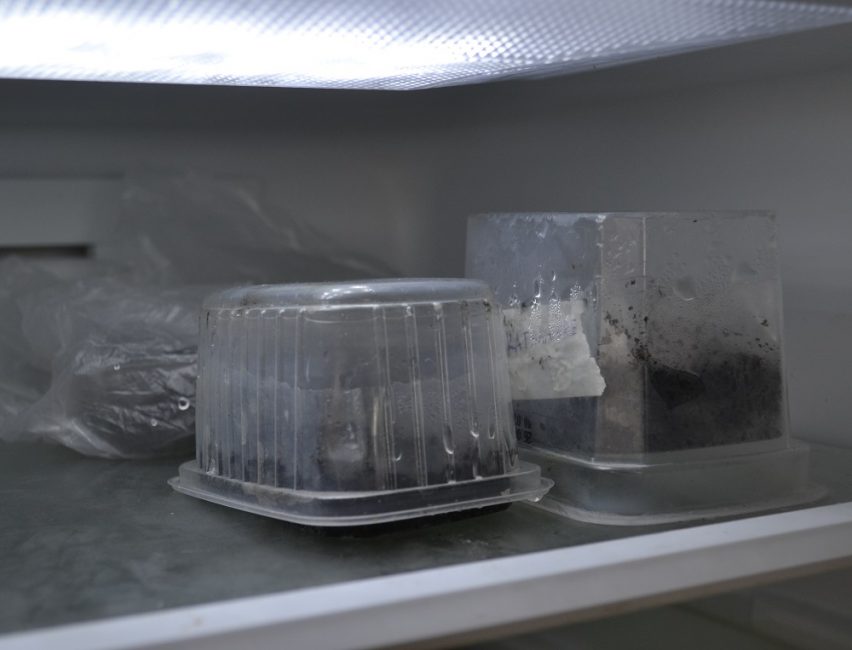 Home stratification of seeds in the refrigerator