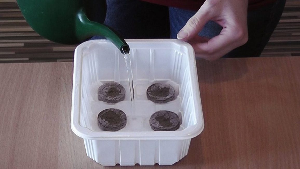 Filling the tray with water