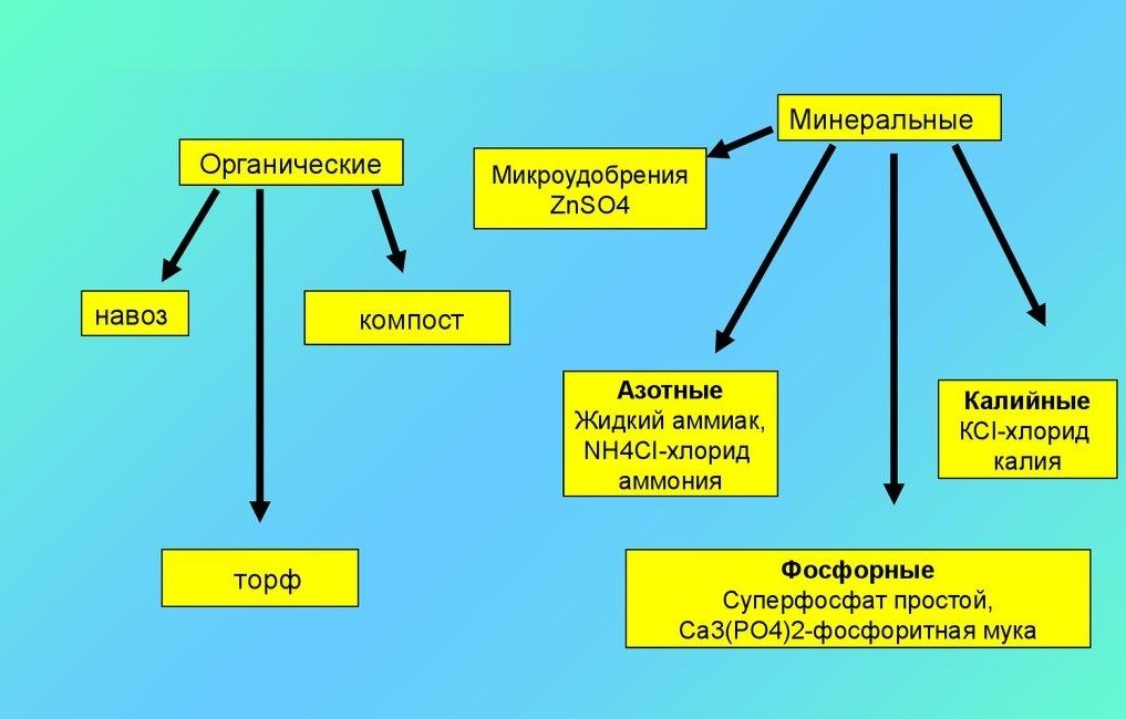 Fertilizer classification