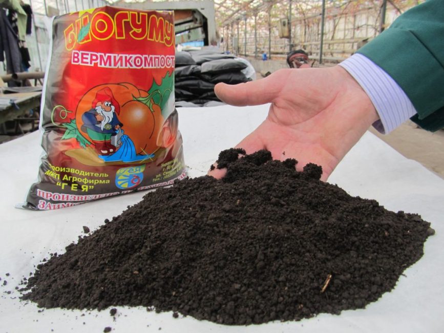 Vermicompost