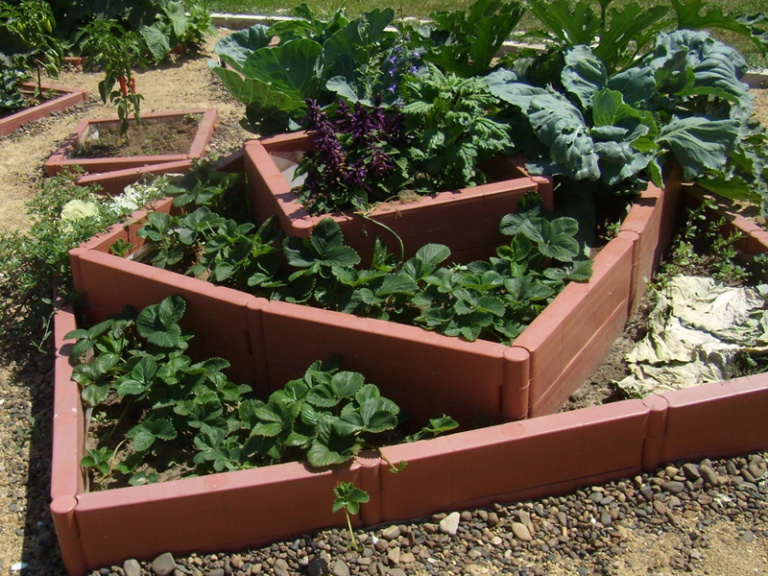 Decorative garden beds