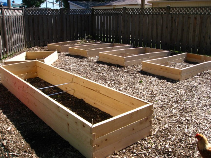 wooden boxes