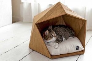 We build a house for a cat with our own hands. Interesting ideas and step-by-step instructions: from plywood, cardboard boxes, fabric. Dimensional Drawings (120+ Photos & Videos)