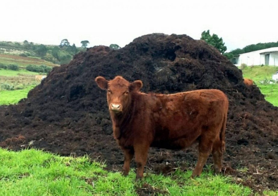 The most common type of organic fertilizer in summer cottages