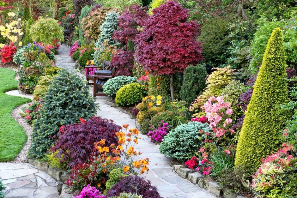 Beautifully flowering shrubs in landscape design