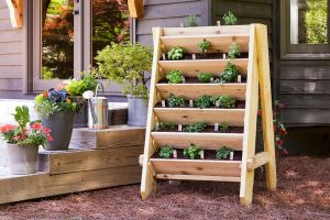 We make vertical beds with our own hands: the best ideas of 2018. For vegetables, berries, herbs and flowers (65+ Photos & Videos) + Reviews