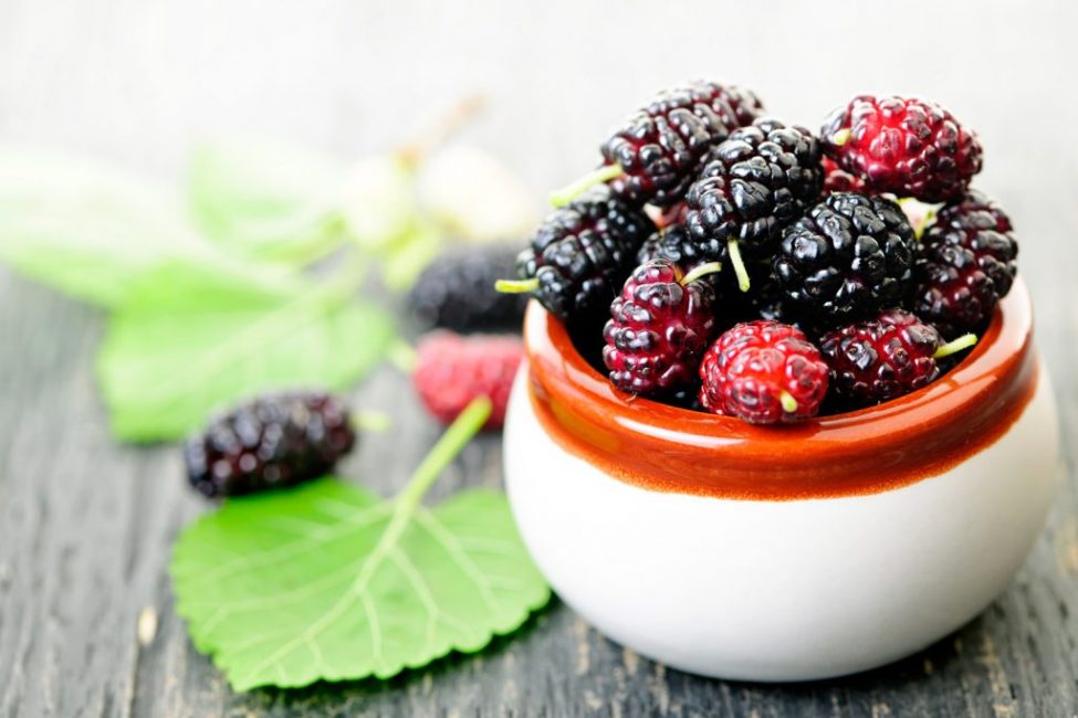 Mulberry contient beaucoup de substances utiles