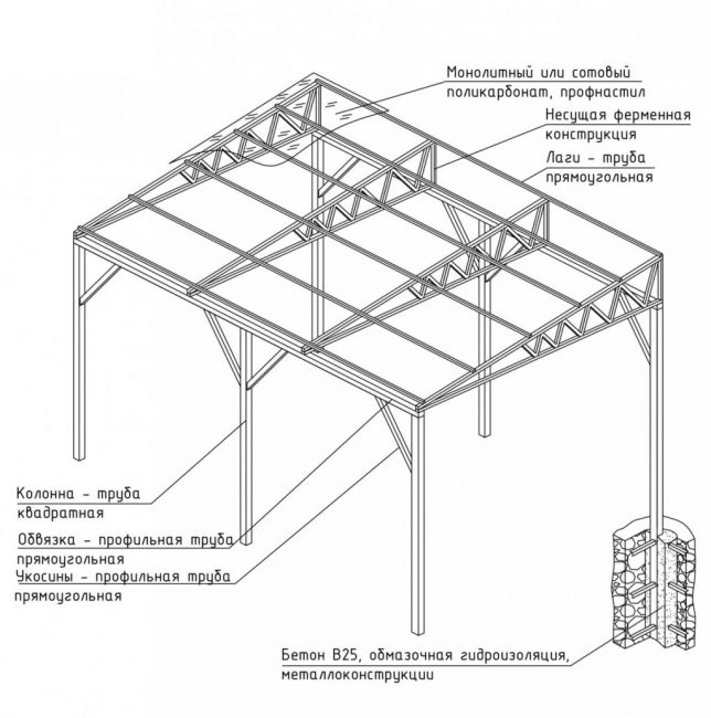 dessin de la canopée