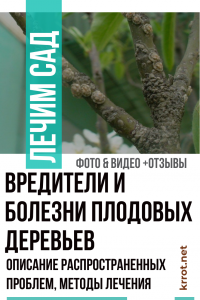 Pests and diseases of fruit trees: a description of common problems, treatment methods (Photo & Video) + Reviews