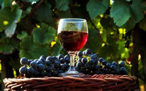 How to make homemade wine from grapes? TOP 10 simple and proven recipes with explanations