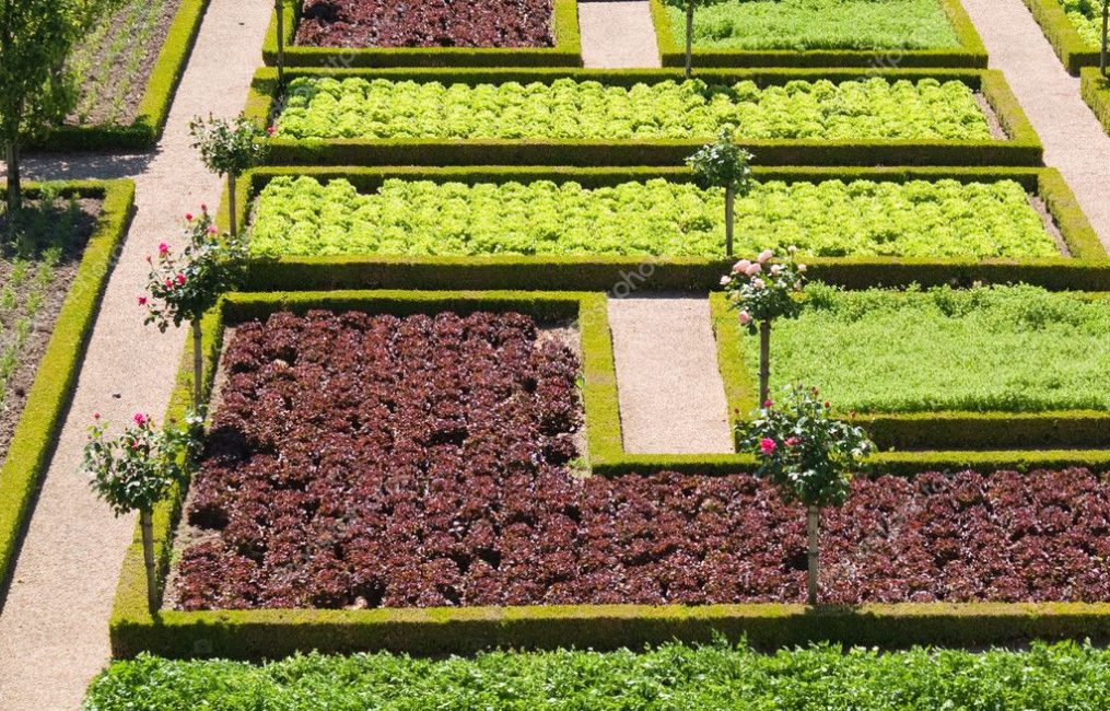 French way of planting crops