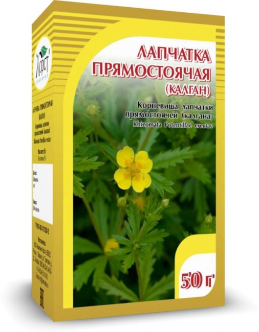 Potentilla منتصب (الخولنجان)