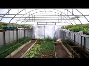 [VIDEO] Do-it-yourself winter greenhouse