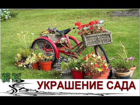 [VÍDEO] Decoração de jardim com coisas antigas