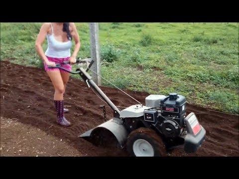 [VIDEO] Maquinaria asombrosa en la agricultura
